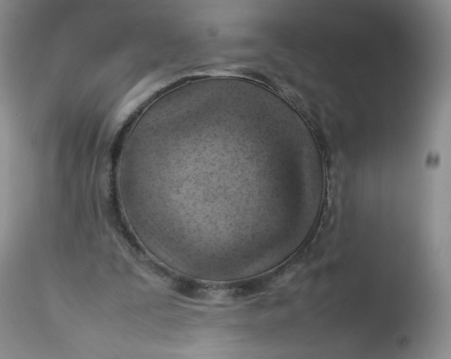 X0000112810295200909111305