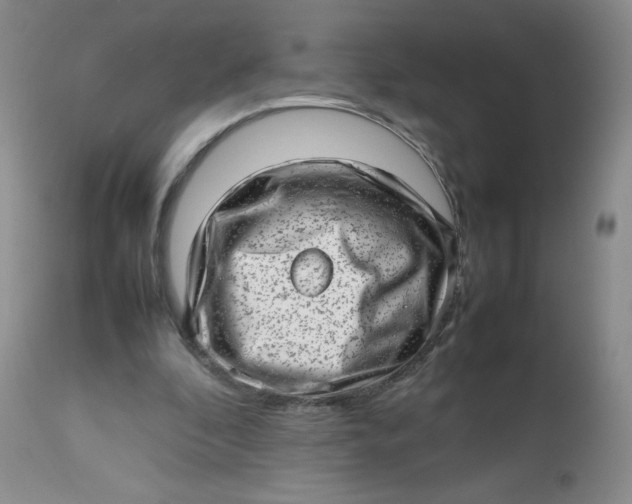 X0000112810296200909111305