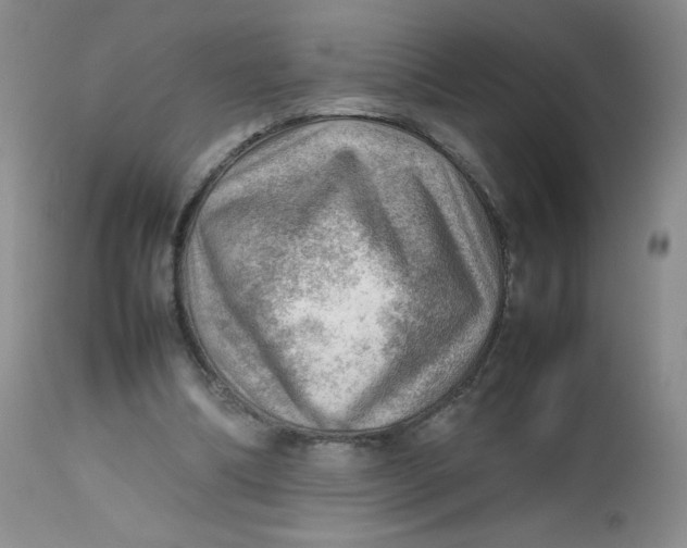 X0000112810298200909111305