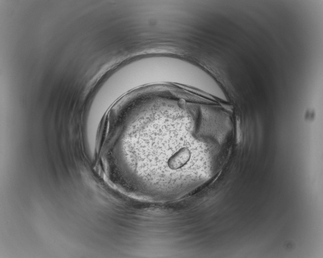 X0000112810300200909111305