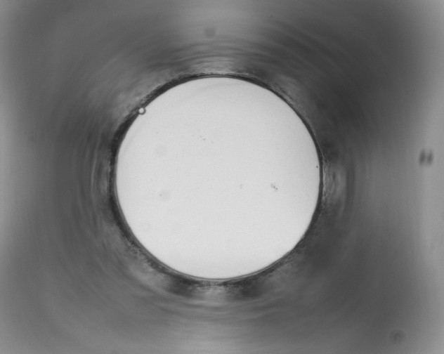 X0000112810301200909111305