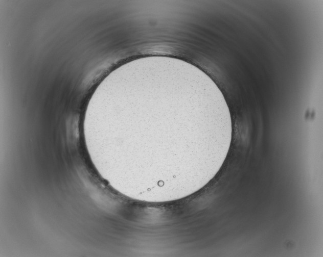 X0000112810302200909111305