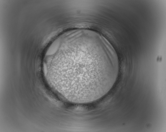 X0000112810303200909111305