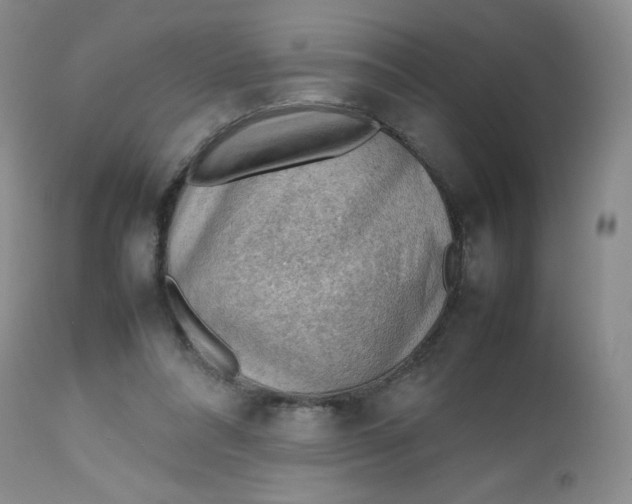 X0000112810304200909111305