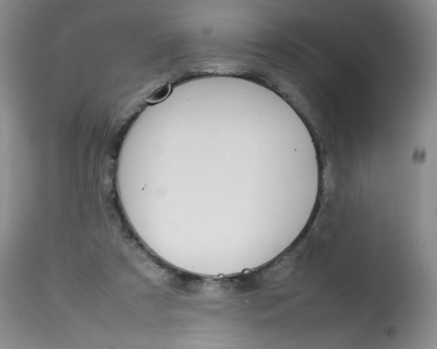 X0000112810305200909111305