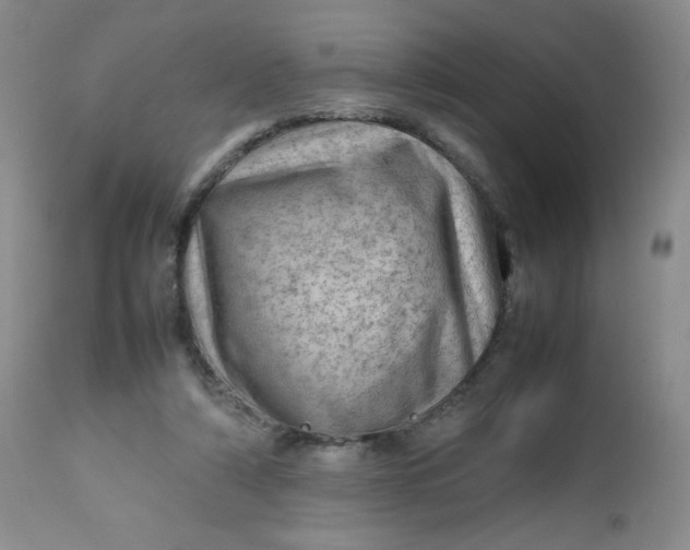 X0000112810306200909111305