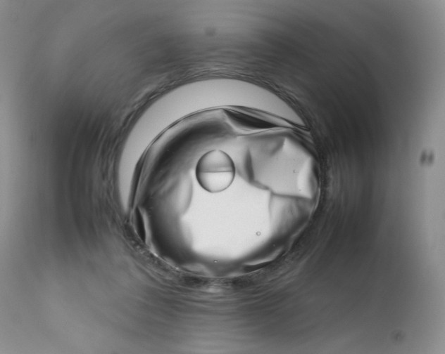 X0000112810308200909111305