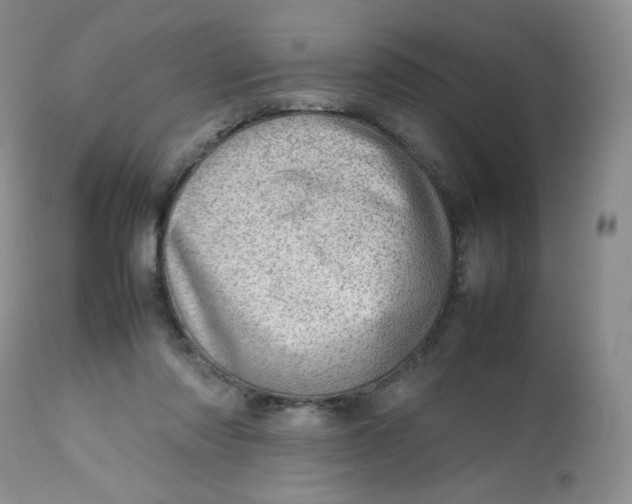 X0000112810310200909111305