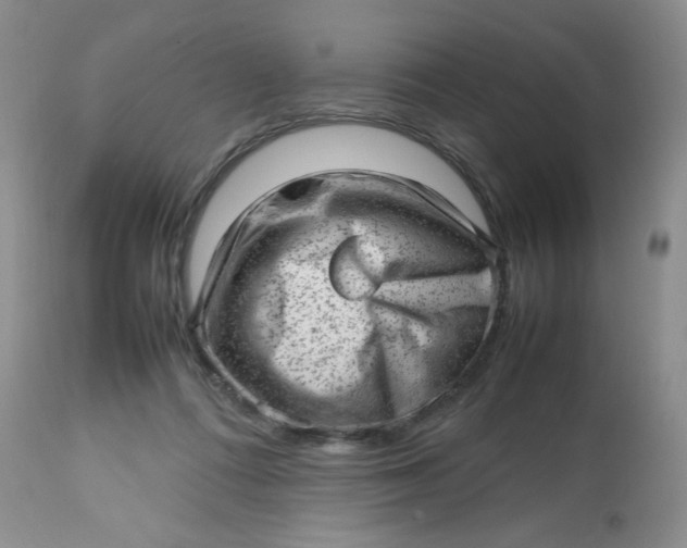 X0000112810312200909111305