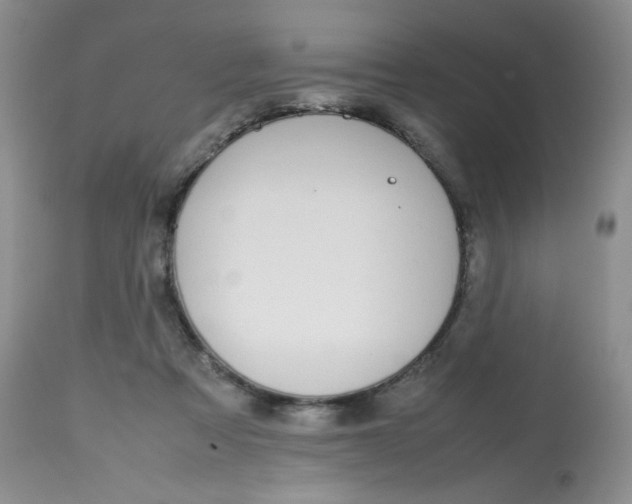 X0000112810313200909111305