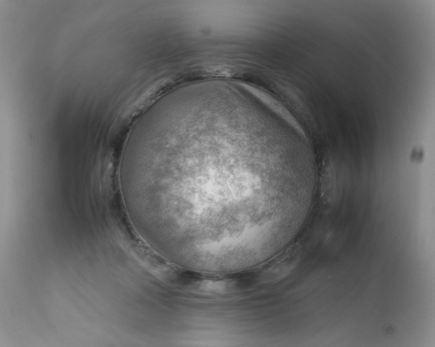 X0000112810314200909111305