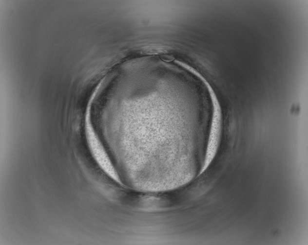 X0000112810315200909111305