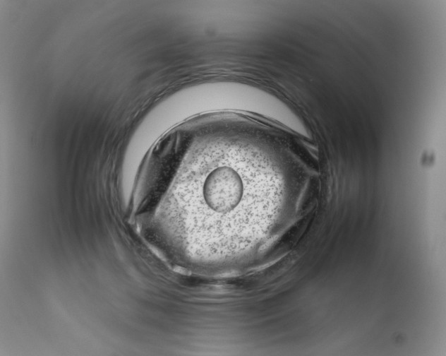 X0000112810316200909111305