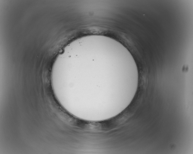 X0000112810317200909111305