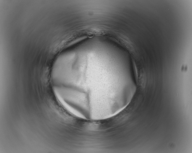 X0000112810318200909111305