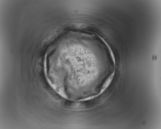 X0000112810319200909111305