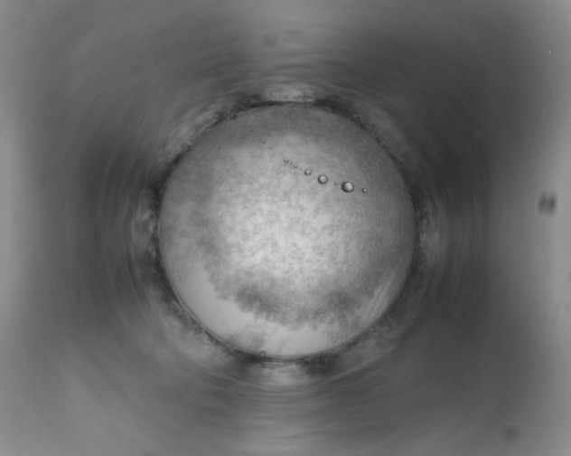 X0000112810322200909111305