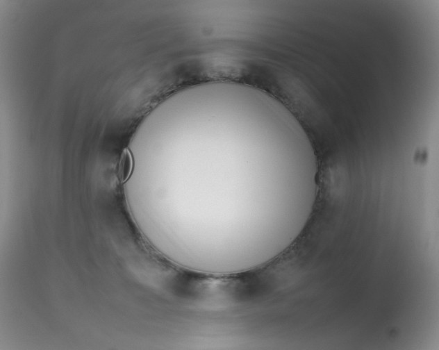 X0000112810323200909111305