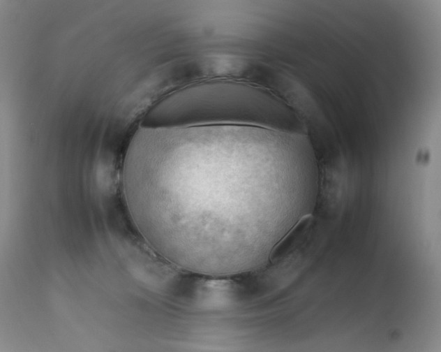 X0000112810324200909111305