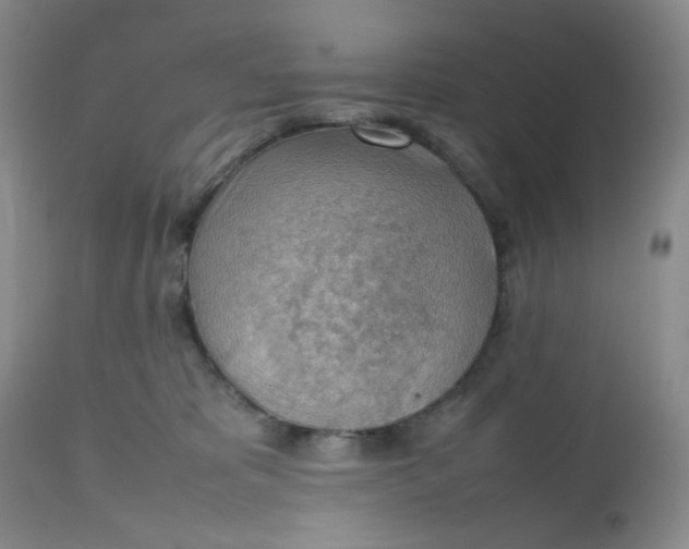 X0000112810325200909111305