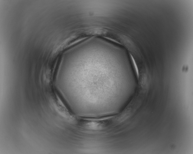 X0000112810326200909111305