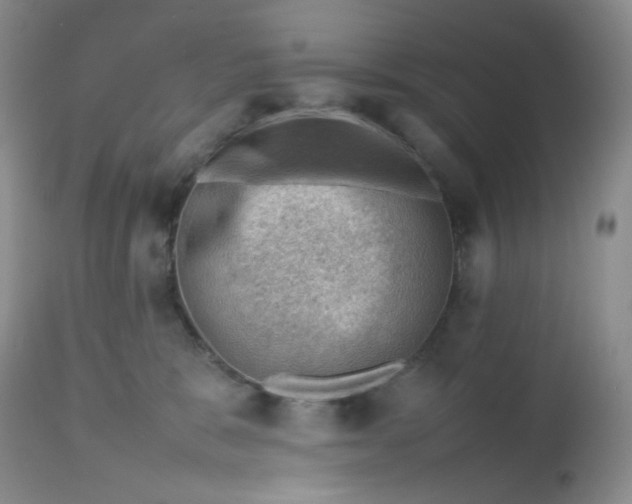 X0000112810327200909111305