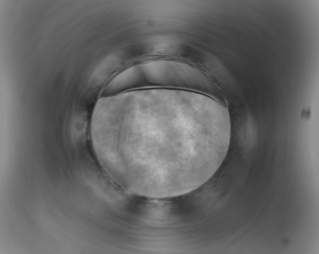 X0000112810328200909111305