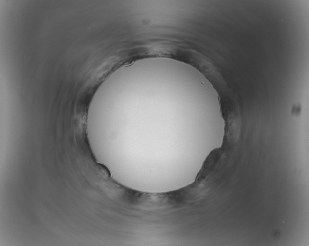 X0000112810329200909111305