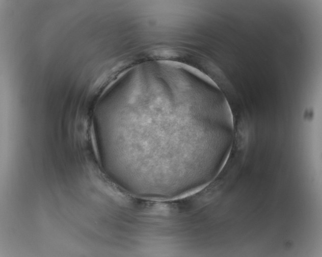 X0000112810330200909111305