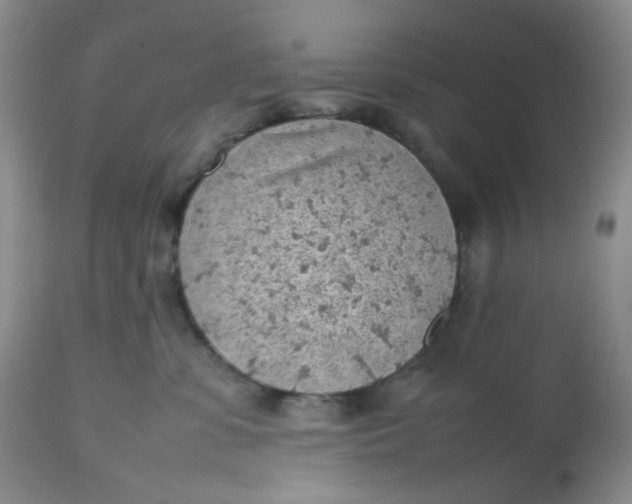 X0000112810331200909111305