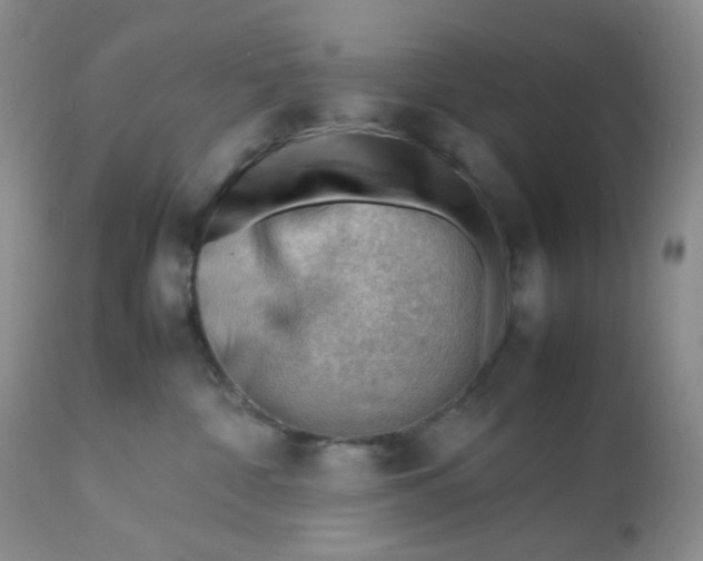 X0000112810332200909111305