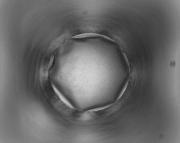 X0000112810334200909111305