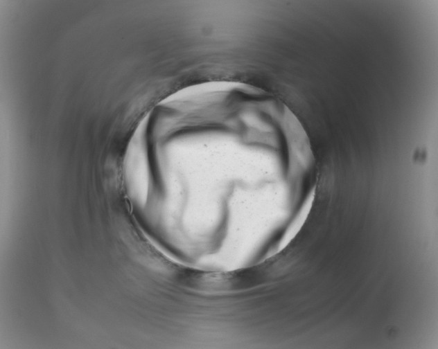 X0000112810335200909111305