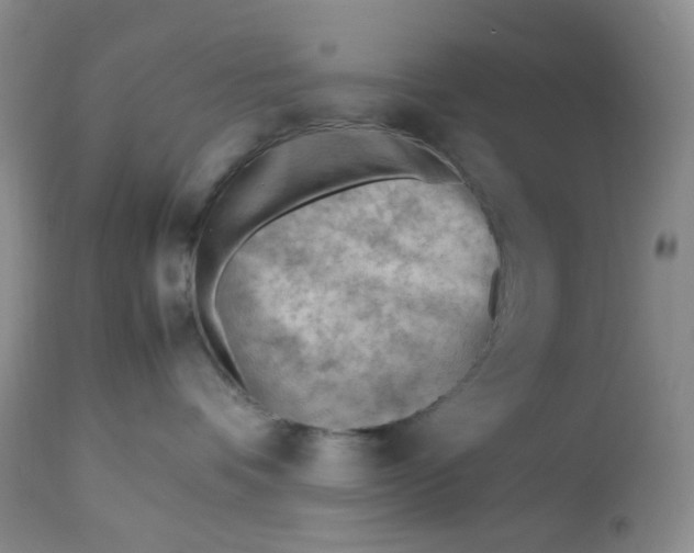 X0000112810336200909111305