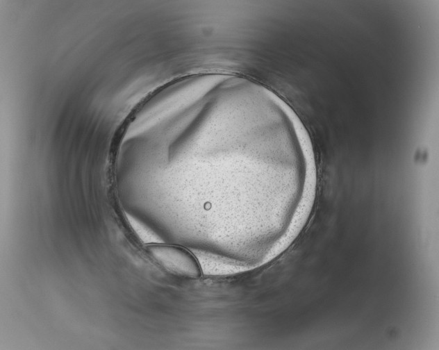 X0000112810338200909111304