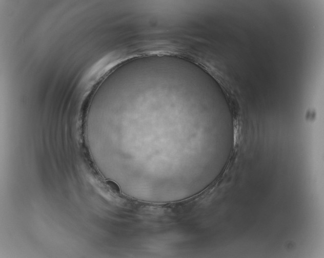 X0000112810339200909111304