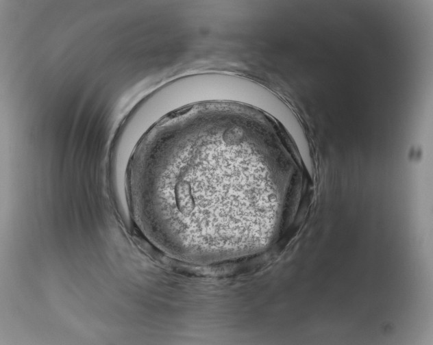 X0000112810340200909111304