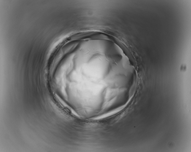 X0000112810342200909111304