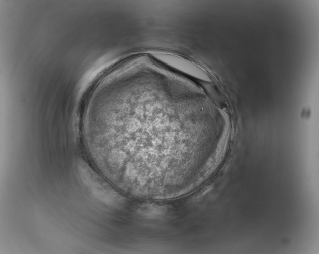 X0000112810343200909111304