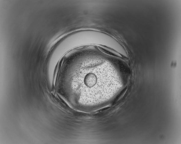 X0000112810344200909111304