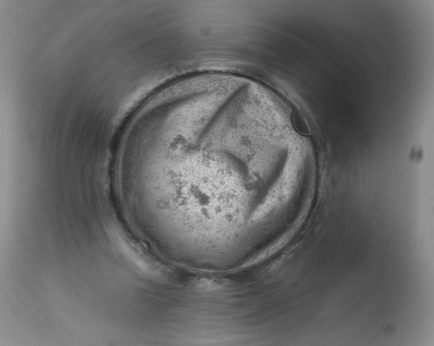 X0000112810346200909111304