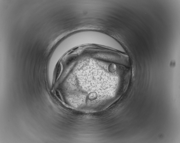 X0000112810348200909111304