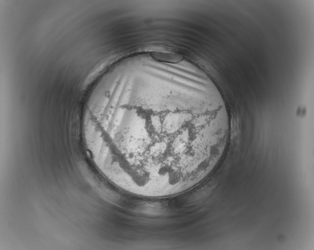 X0000112810349200909111304