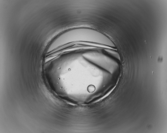 X0000112810350200909111304