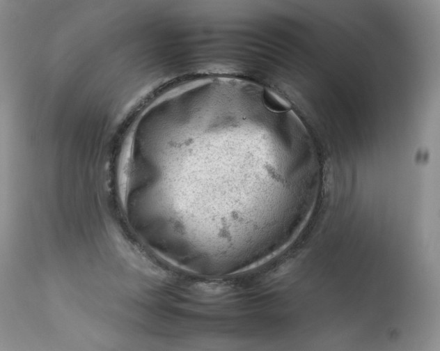 X0000112810351200909111304