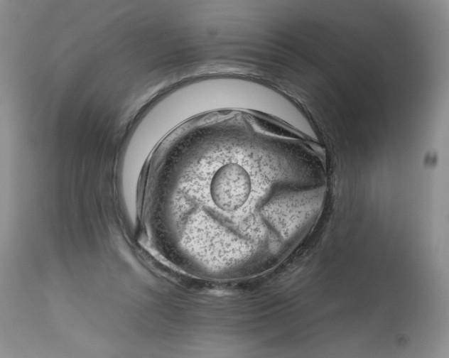 X0000112810352200909111304