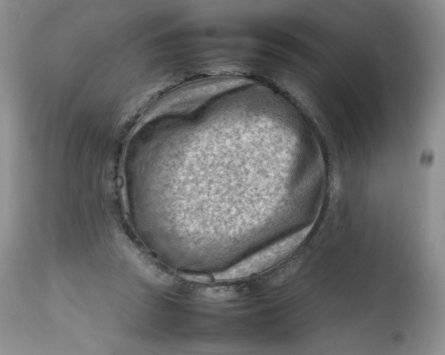 X0000112810353200909111304