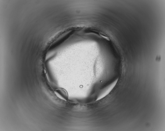 X0000112810354200909111304