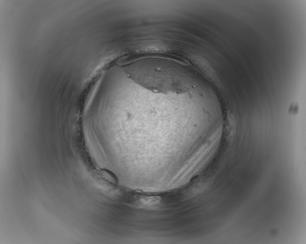 X0000112810355200909111304