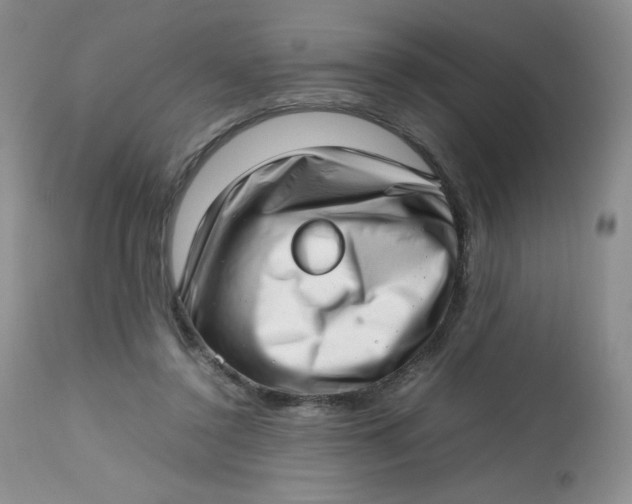 X0000112810356200909111304